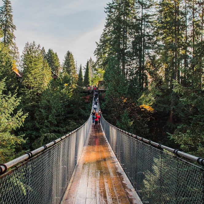 Cleveland Dam - Vancouver's North Shore