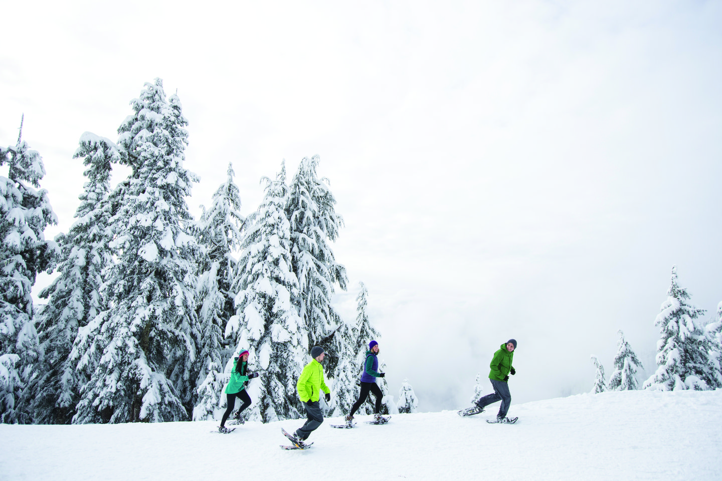 Snowshoeing Grouse Mountain