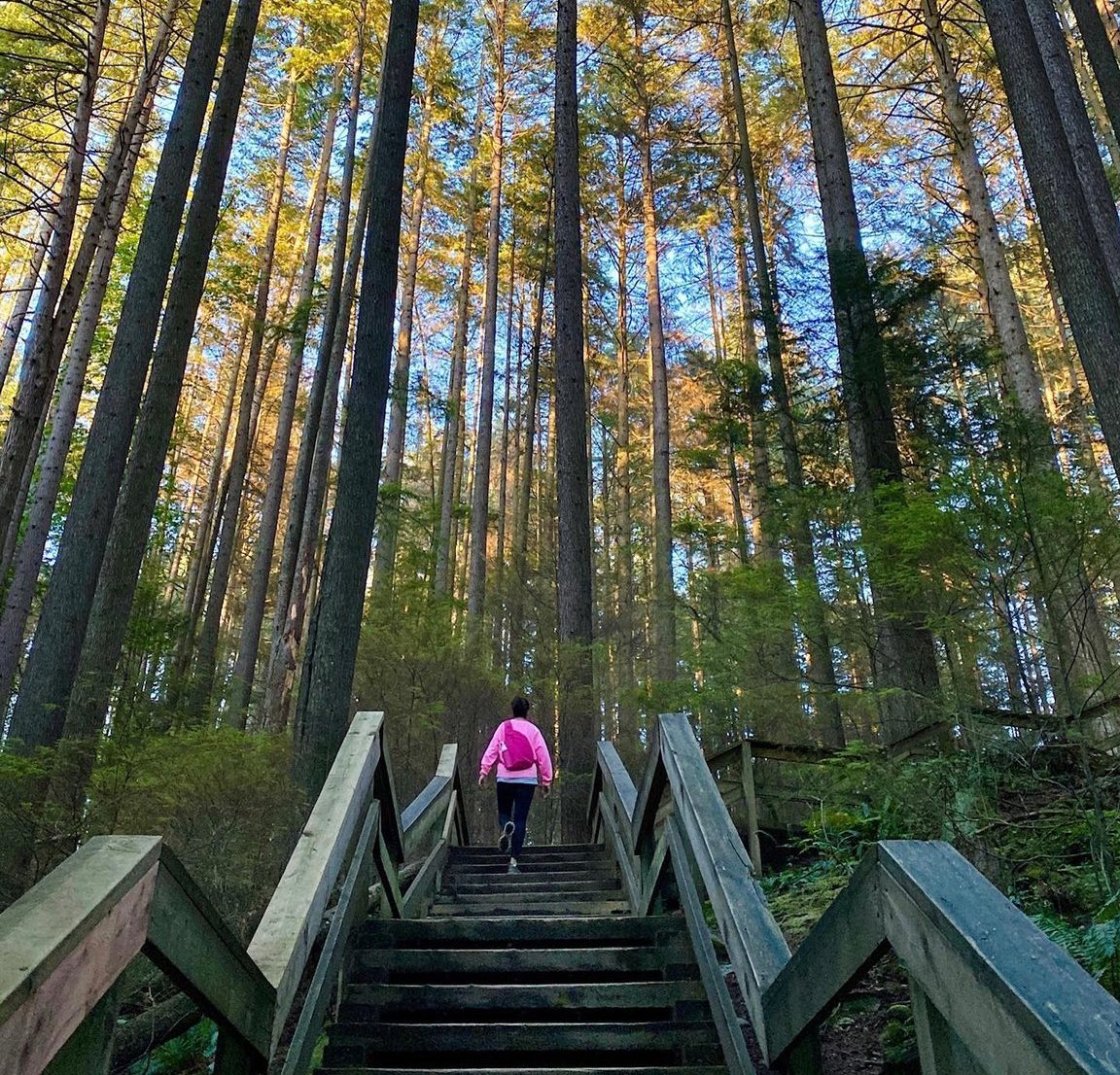 Lynn Canyon