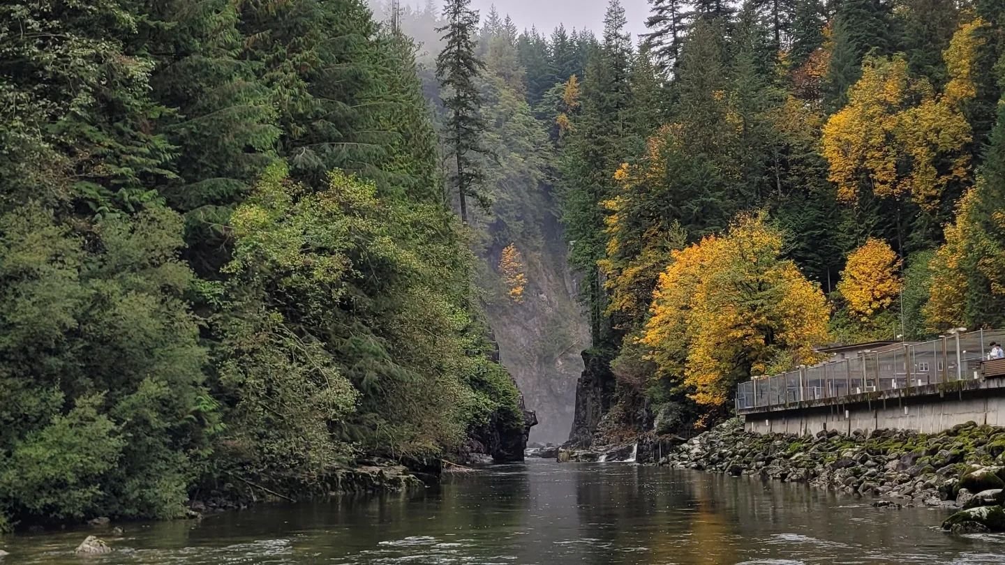 Capilano River