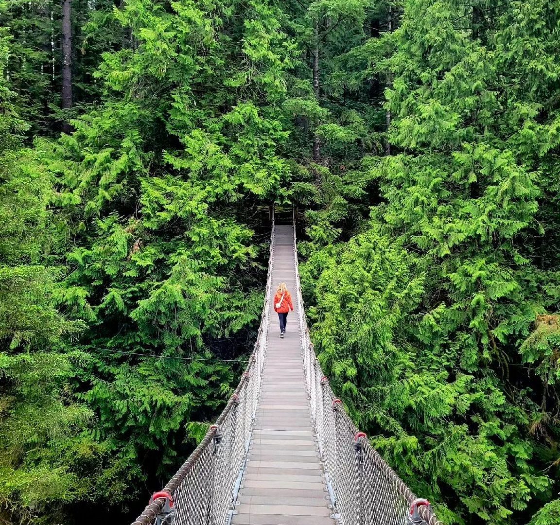 Lynn Canyon Suspension Bridge